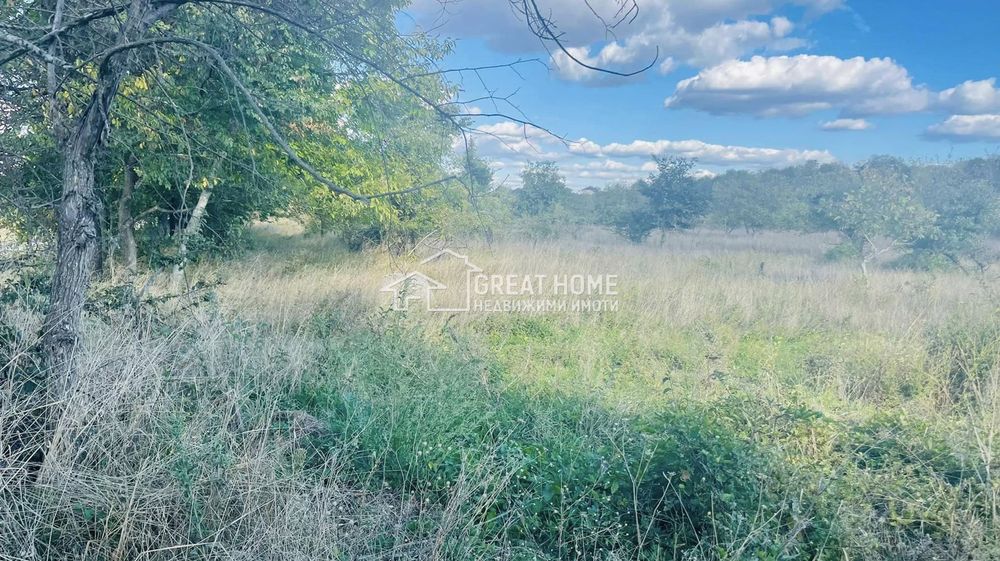 Продава се Парцел в Търговище, Вилна зона - 6082 кв.м за 13 €/кв.м - Снимка #4