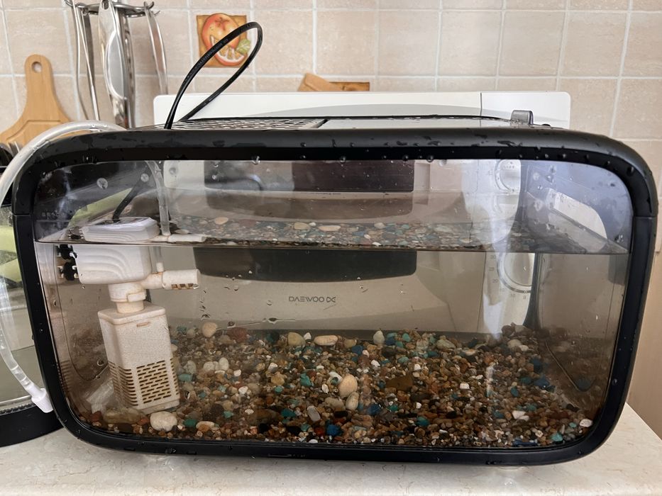 Аквариум с рыбками.