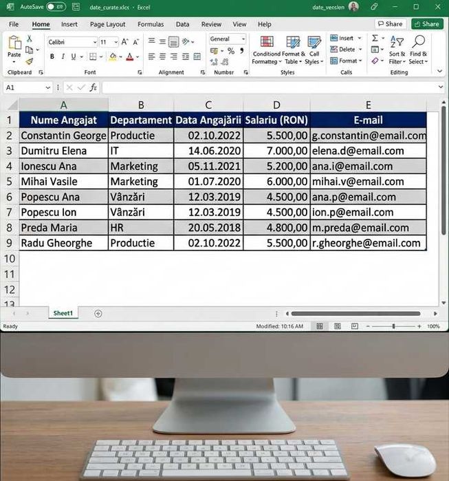 Servicii Organizare Baze de Date, Rapoarte și Data Entry