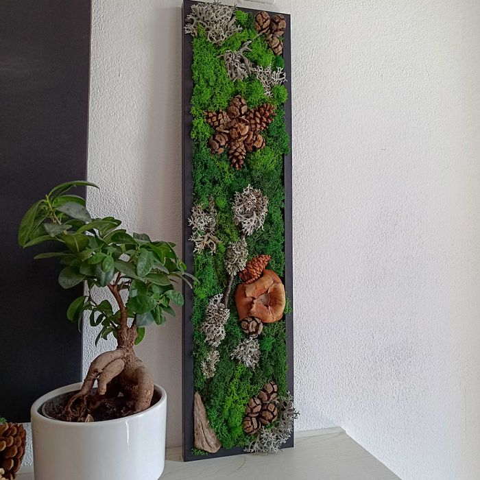 Ръчно изработени картини от скандинавски мъх и естествени материали