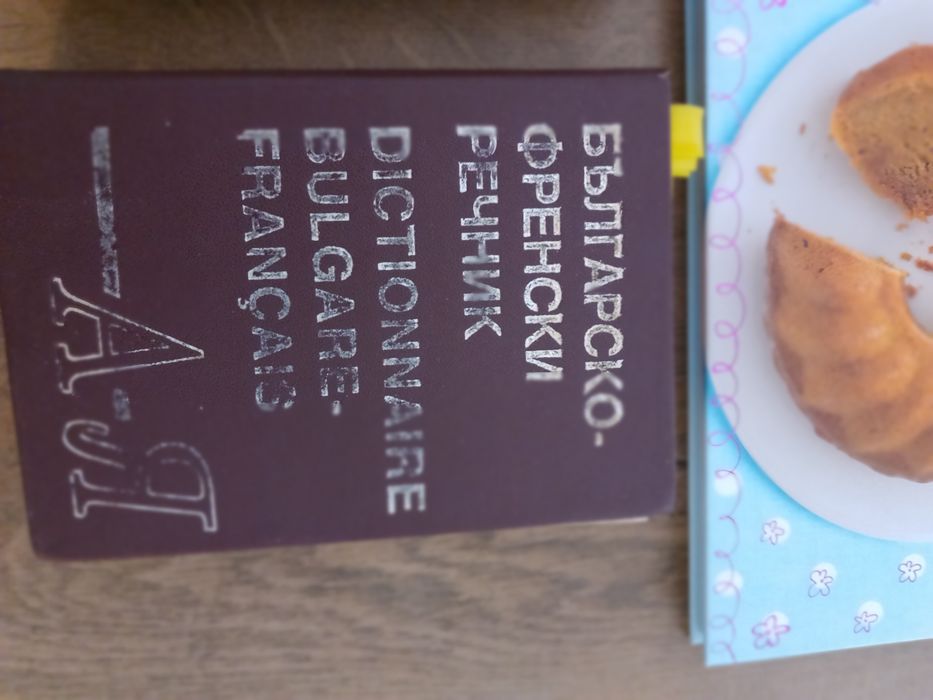 Френска и английска литература