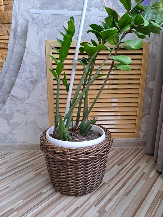 Кашпо из ротанга