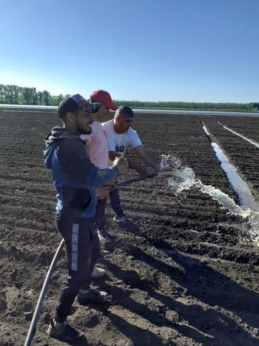 Foraje puturi Brezoaele,Lungulețu,Potlogi,Corbii mari,Găiseni Titu