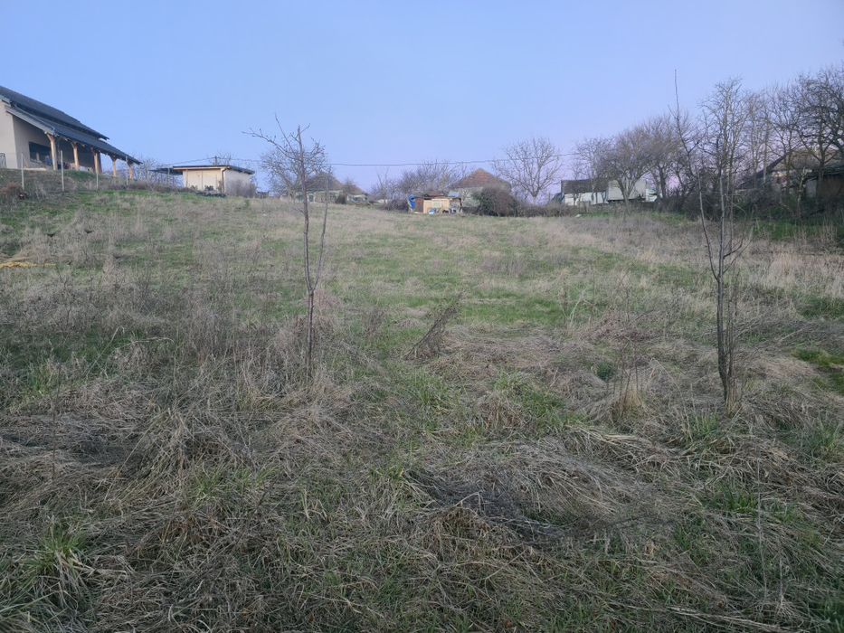 Teren 1000 mp Cornești lângă Timișoara |