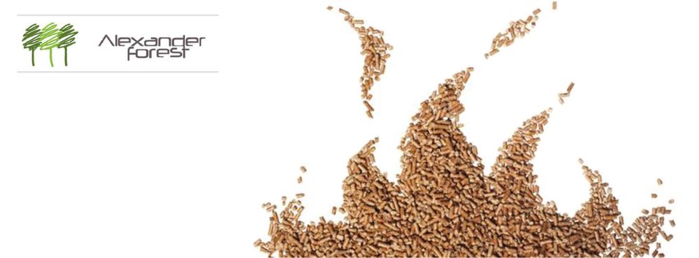 Peleti salcam calitatea conform A1