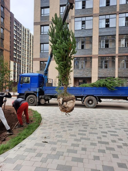 Услуги манипулятора 10 тонн