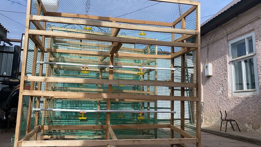 Клетки для кур, несушек и для бролиров