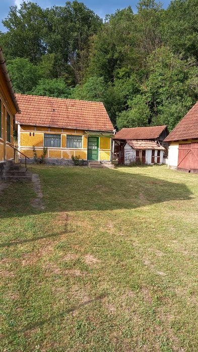 Casă lntre Zam și Săvârșin 6400 mp  intravilan deschidere  94 ml  la DN zonă foarte bună