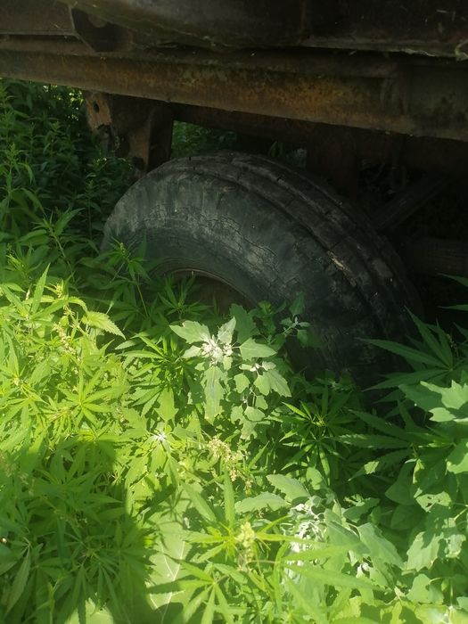 Продам телегу сеновозку