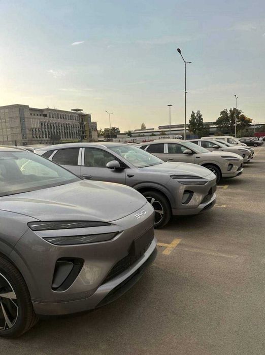 BYD Sealion 06 2-pazitsiya