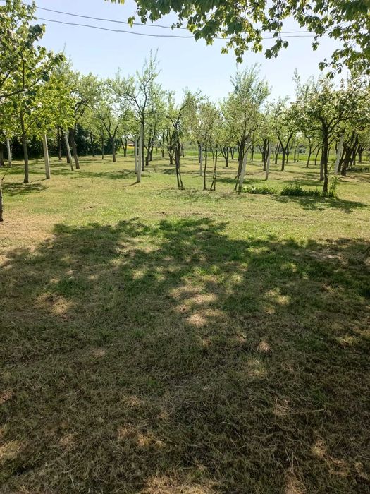 Fermă agricolă Jud Bihor 40282 mp
