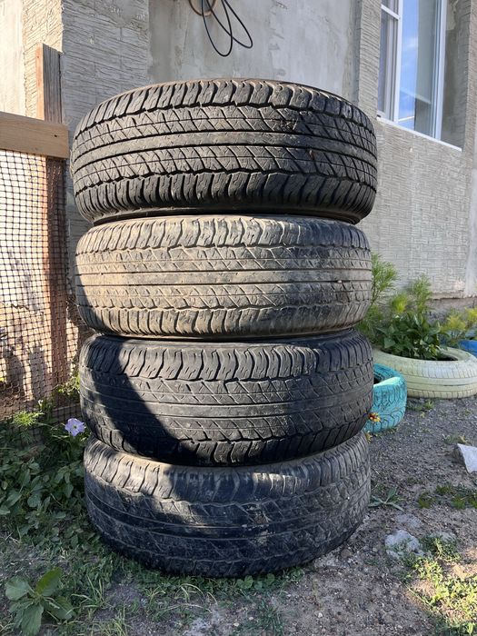 Grandtrek Dunlop AT20