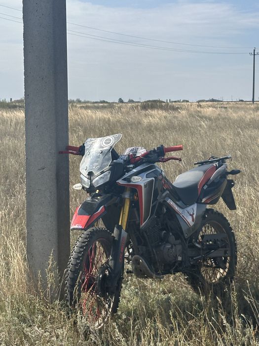 Энудро стс мах 300