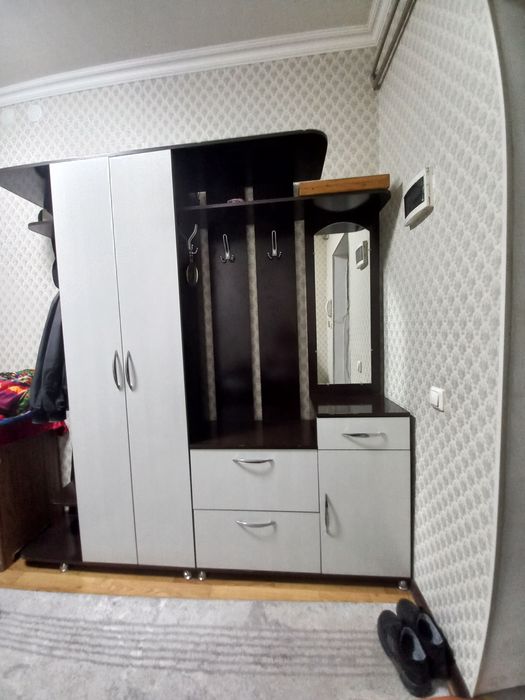 Шкаф прихожая для одежд и обувь