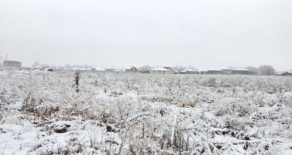 Туздыбастау ЛПХ 377 + 86 соток