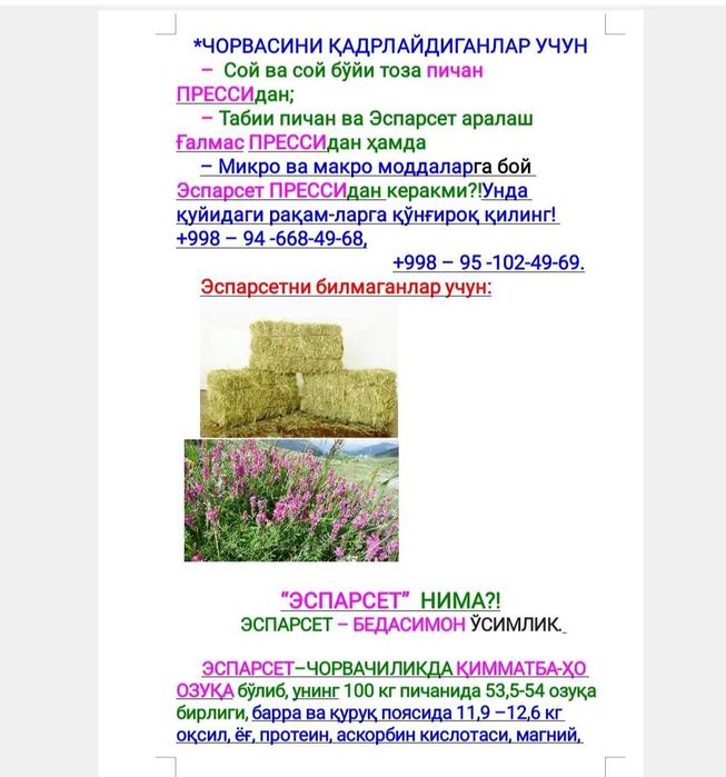 Эспарцет пресси ва уруги