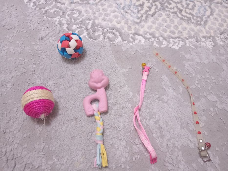 ОТДАМ ДАРОМ своего кота