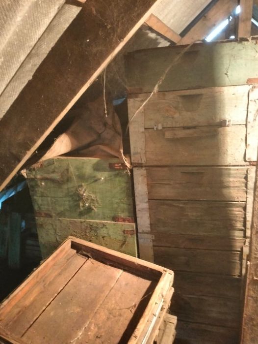 Пчелиные ульи 10–12 рамок