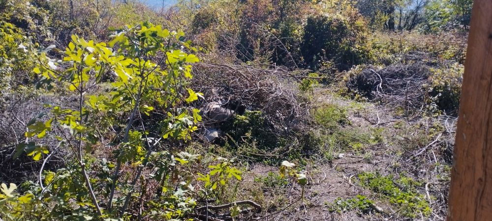 Продава се Къща в Разград, Орел - 12 кв.м за 2125 €/кв.м - Снимка #5