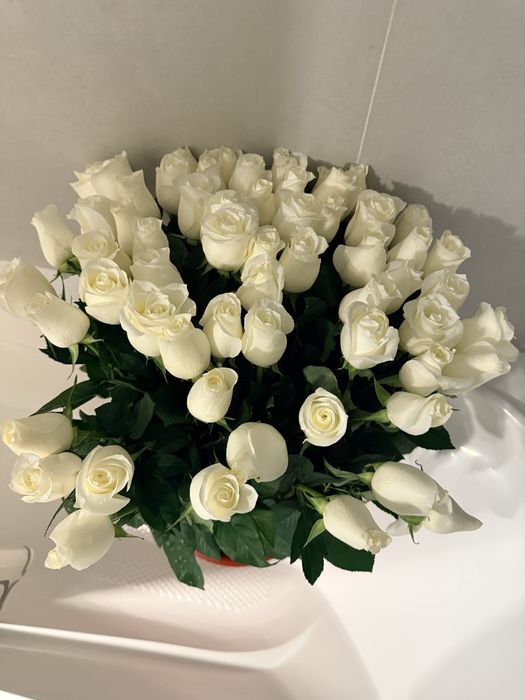 Продам цветы 61шт