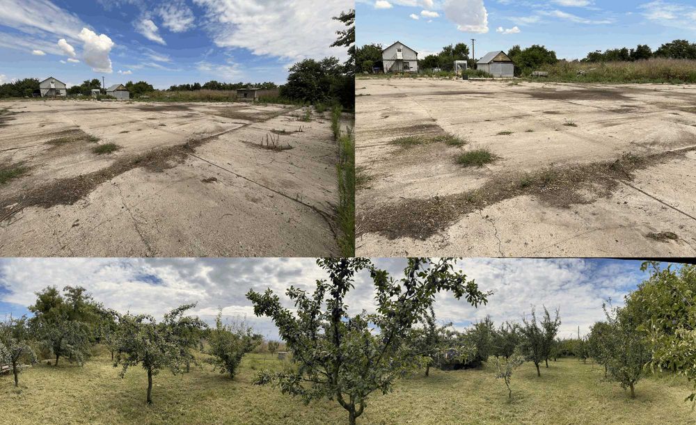 Vand Ferma Casa Teren Livada Zadareni Arad intravilan cu numar de casa
