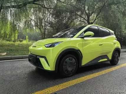 byd seagul pod zakaz