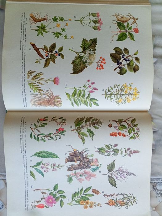 Медицинская энциклопедия