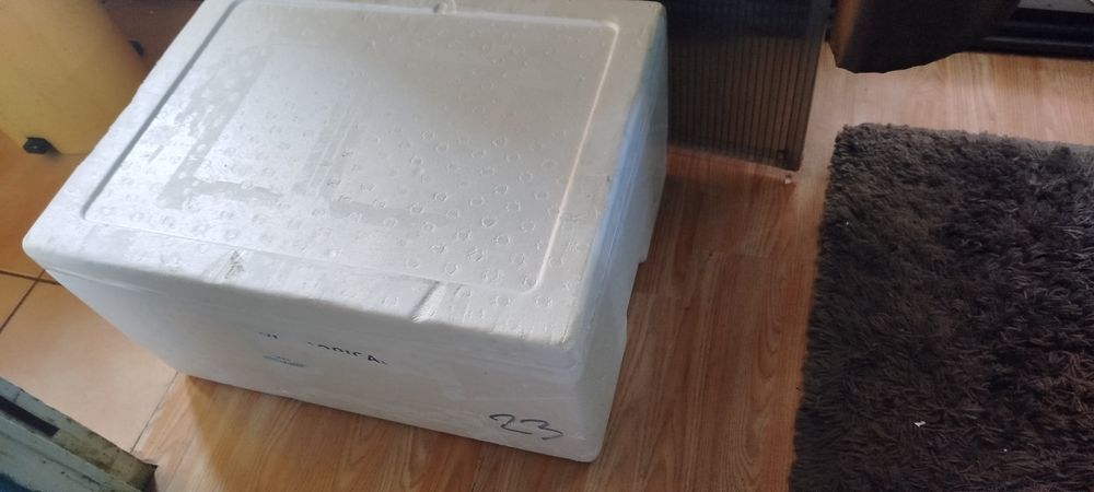 Cutii polistiren termoizolante, frigorifice