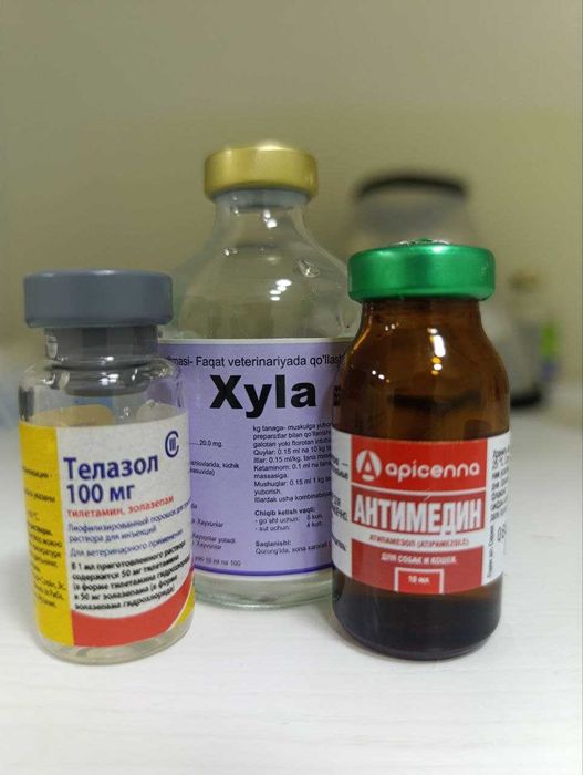 Ветеринарная служба.Ветеринар круглосуточно24/7 Кастрация Стерилизация