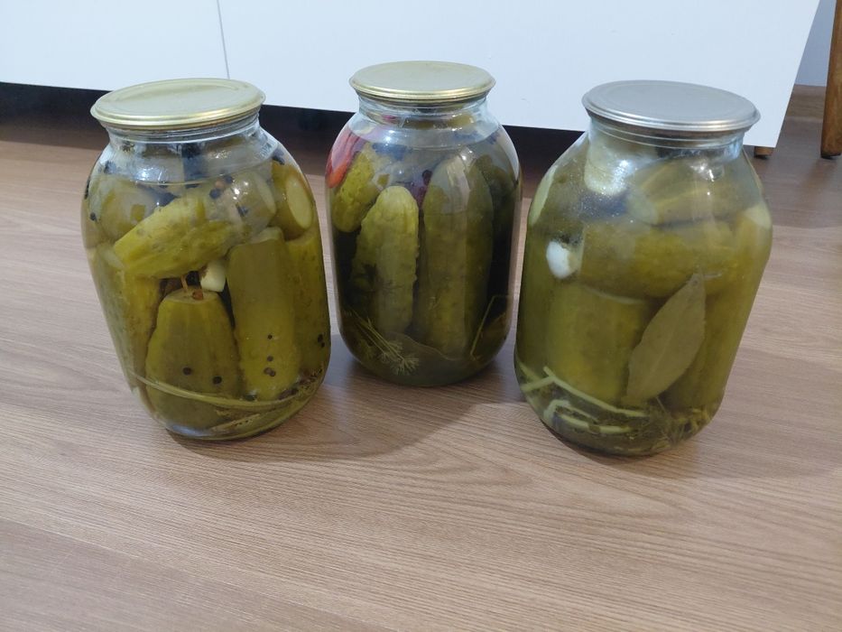 Продам соленые дачеые огурцы