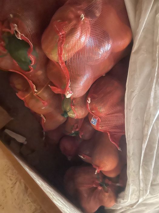 Тыква в караганде