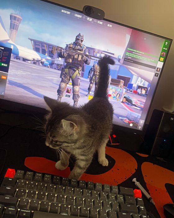 Xiaomi Mi 2K Gaming Monitor 27” (XMMNT27HQ) — Sotiladi