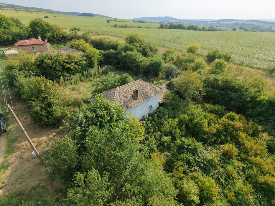 Къща с двор 2 059 кв.м в село Глогинка, общ.Попово