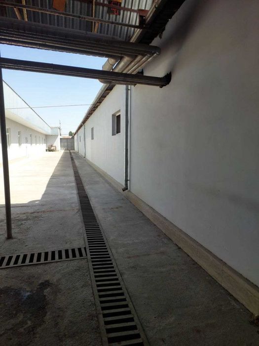 Продаётся готовый бизнес в Мирзо-Улугбекском, Учхоз. Земля 50 соток