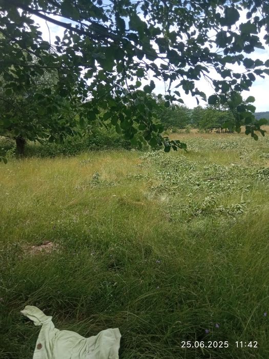 Vând teren extravilan