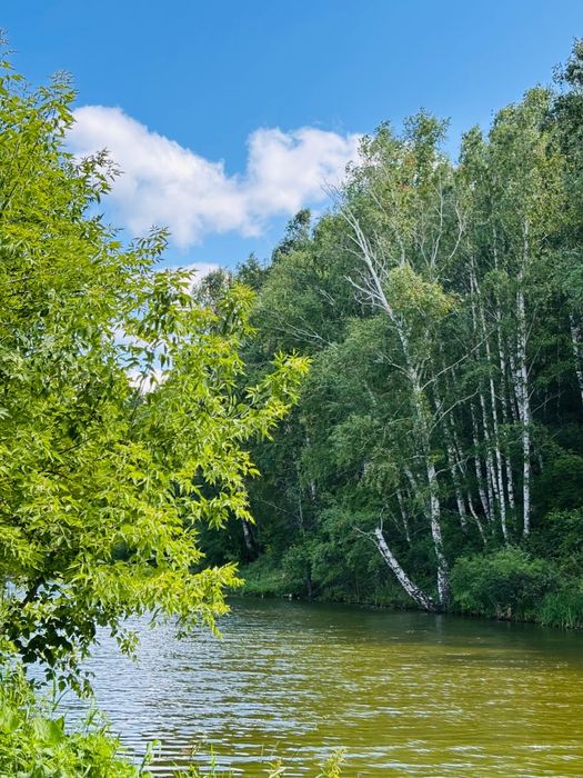 Продам участок с небольшим домом