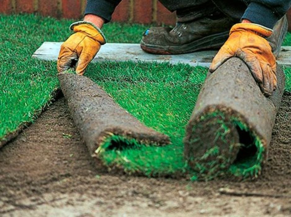 Рулонный газон автополив