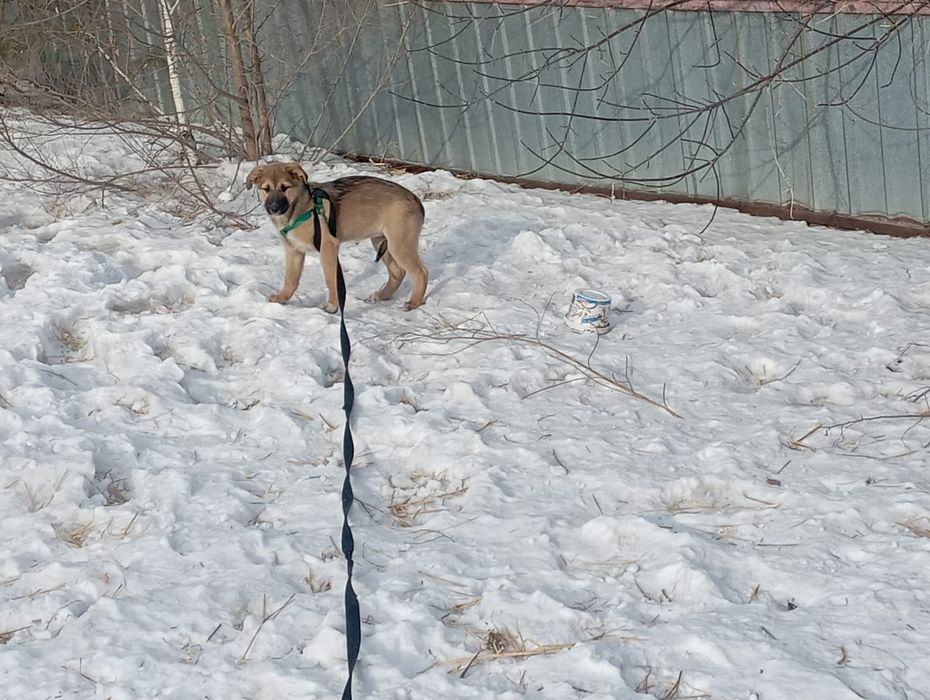 Только ответственным людям
