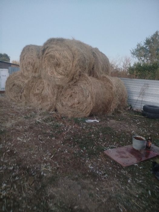 Продам сена самовывоз