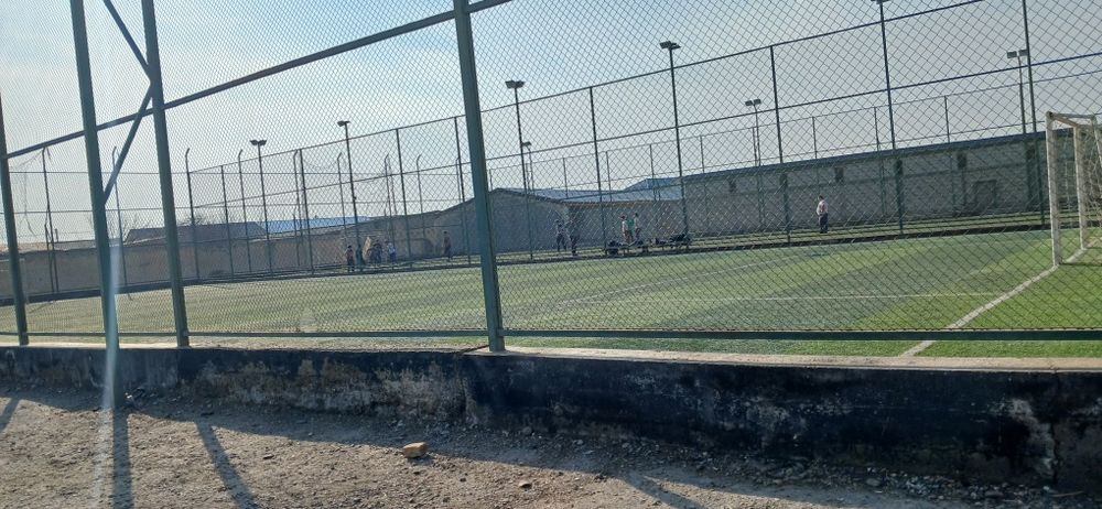 Футболная поля газон