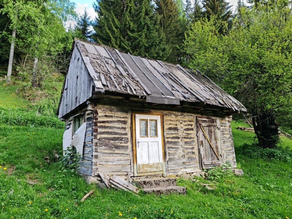 Teren 2,9 HA + RÂU + 3 Case Tradiționale | Ideal Turism | Moieciu Bran