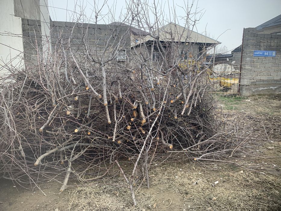 Дрова отын самовывоз после распила