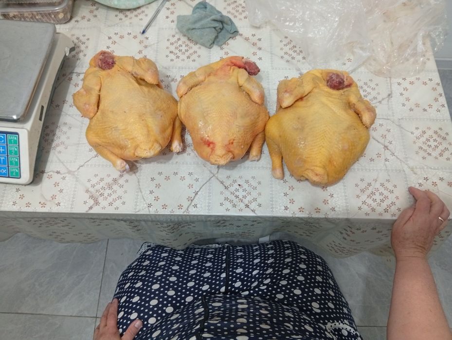 Продам мясо домашней птицы