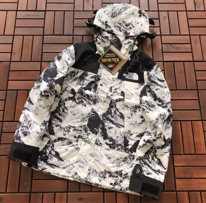 Geaca  schi The North Face