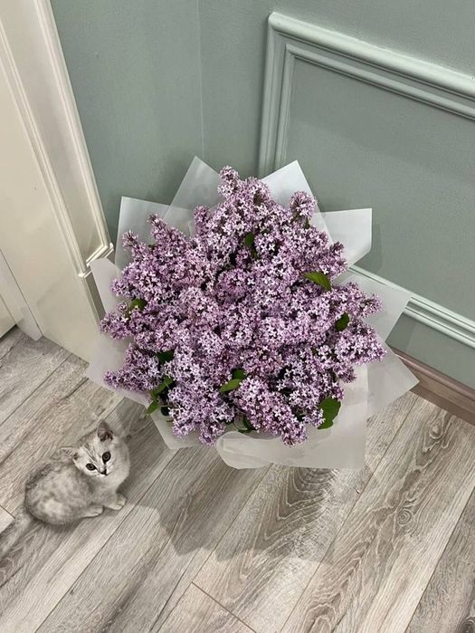 Продам сирень букет свежий