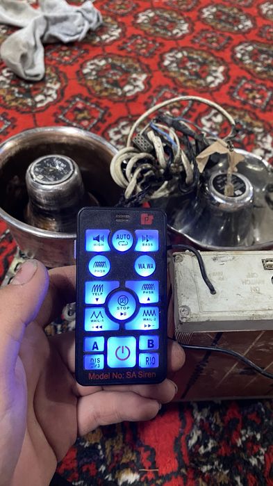 Сирена американиски