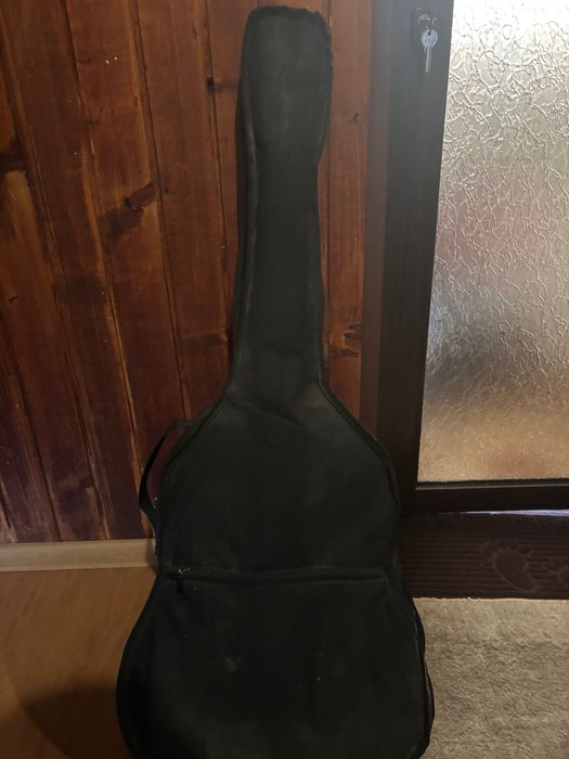 Китара”Singer” 100 evro