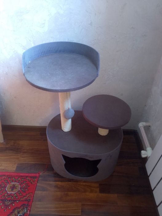 Мушуклар уйчаси сотилади жуда чаройли ва мустахкам