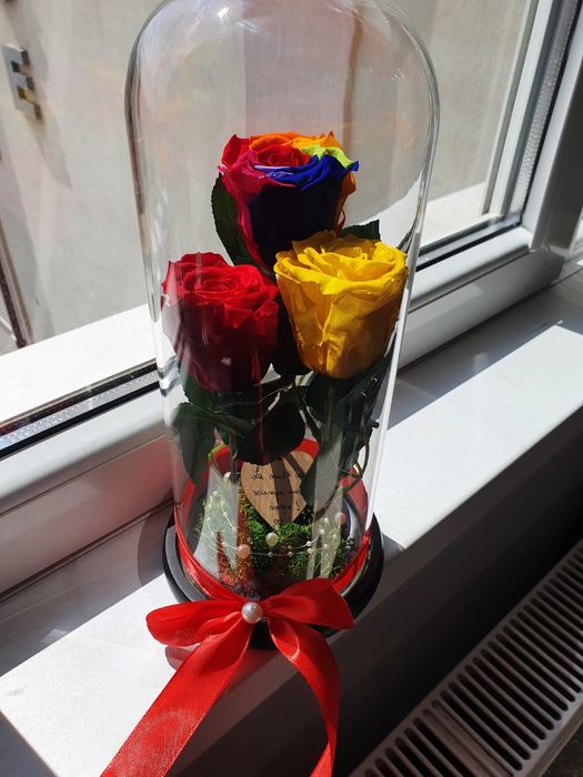 Trandafir galben criogenat conservat in cupola de sticla