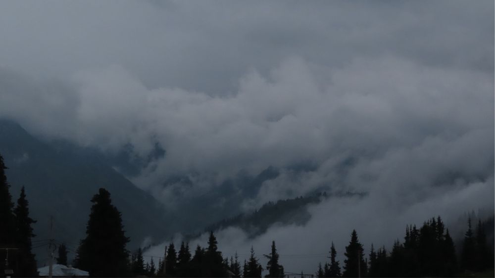 Фотокамера Canon PowerShot SX740 HS черный